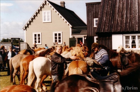 Pat to Gimli: Póstferðin frá Eyrarbakka til Gimli í Canada.