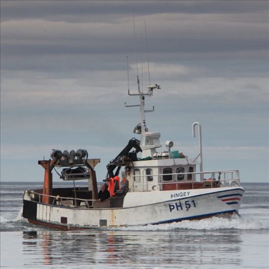 Offshore Commercial Fishing Boat From Iceland