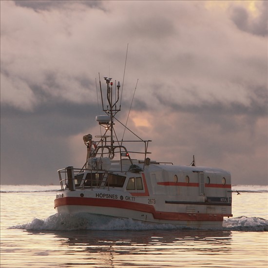 Offshore Commercial Longline Fishing Boat From Iceland