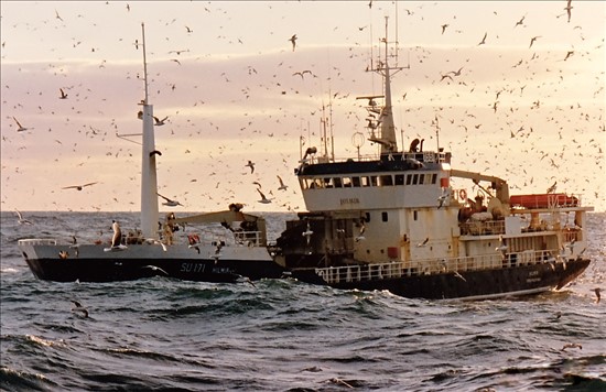 Offshore Pelagic Fishing Vessel From Iceland
