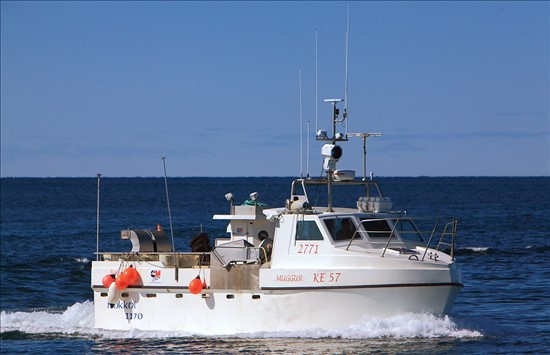Offshore High Speed Commercial Longline Fishing Boat From Iceland