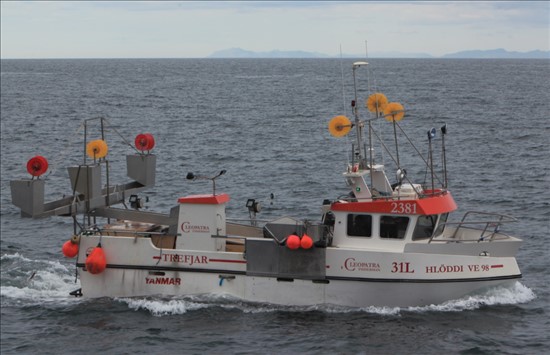 Offshore High Speed Commercial Longline Fishing Boat From Iceland