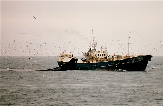 Old Offshore Pelagic Fishing Vessel Beitir NK From Iceland.