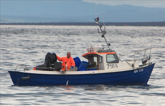 Small Offshore Commercial Fishing Boat From Iceland