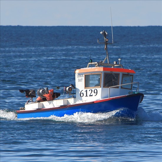 Small Offshore Commercial Fishing Boat From Iceland.