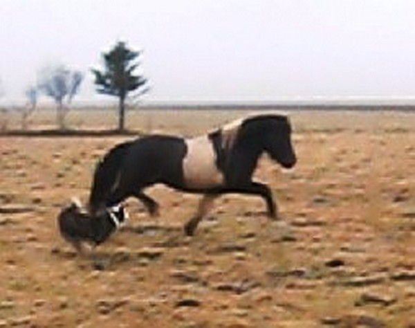 http://cs-001.123.is/DeliverFile.aspx?id=5ffe4637-c3db-4969-9165-32f93931cffd