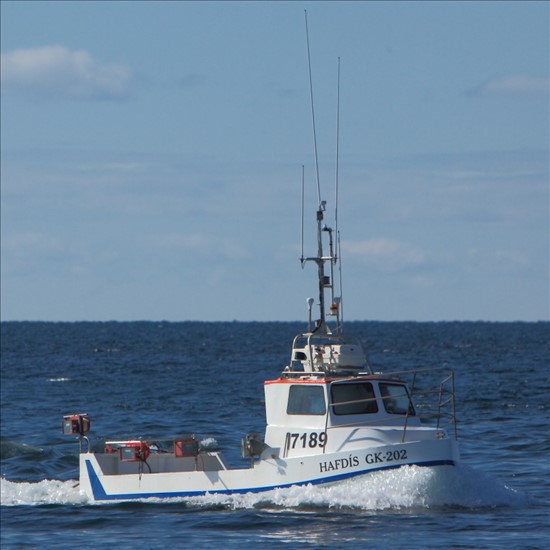 Small Offshore High Speed Commercial Fishing Boat 7189 Hafdís GK-202 From Garður Iceland