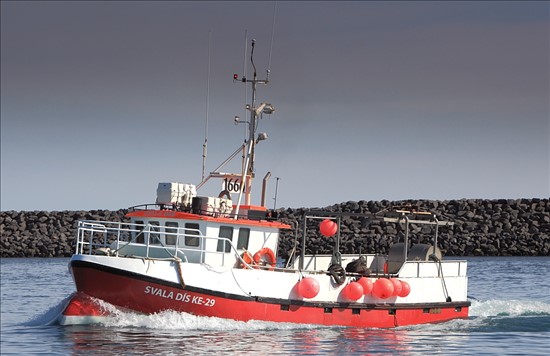 Offshore Commercial Longline Fishing Boat 1666 Svala Dís KE-29 From Iceland