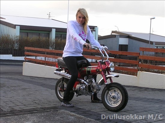Krissa
